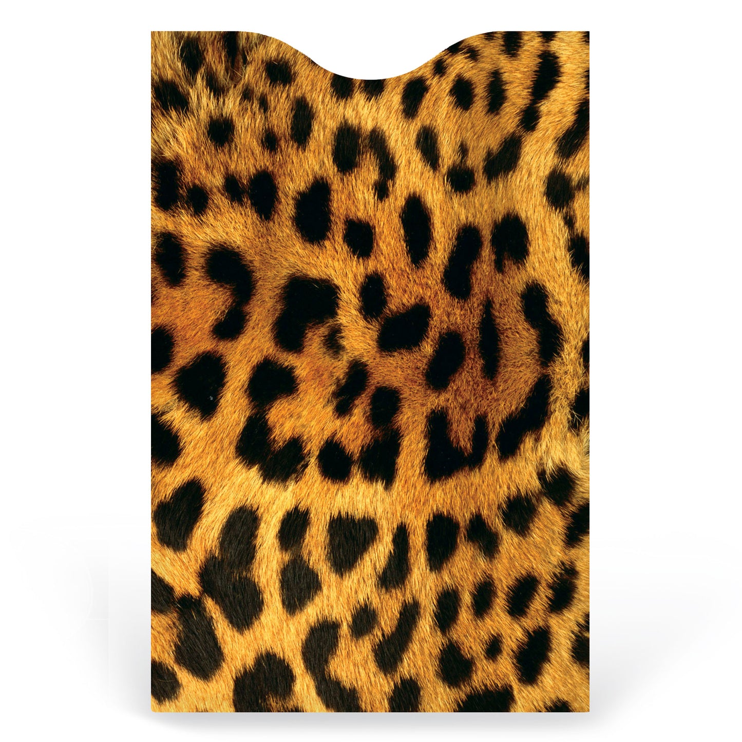 Safari 6/Pk Armored Sleeves